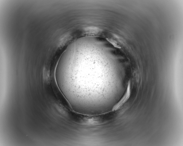 X0000087000564200704301400