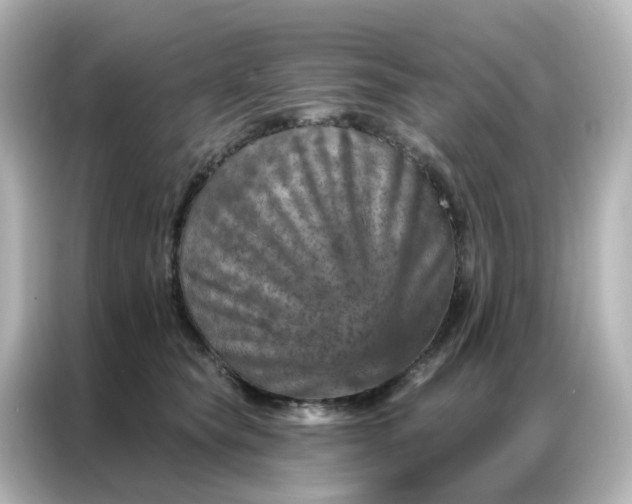 X0000087000565200704301400
