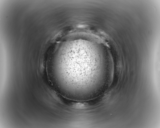 X0000087000566200704301400