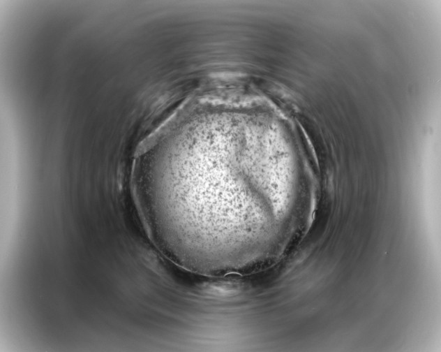 X0000087000567200704301400