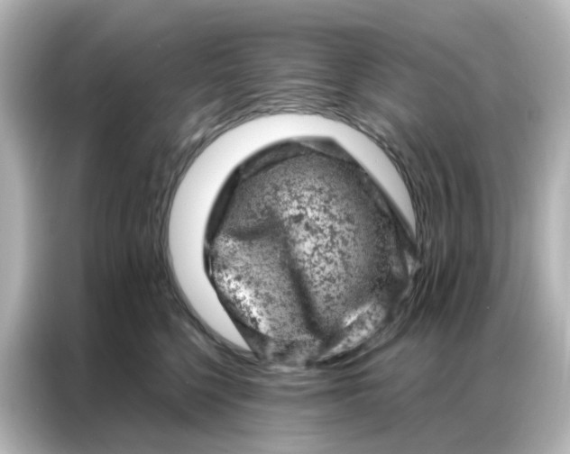 X0000087000568200704301400