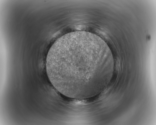 X0000087000569200704301400
