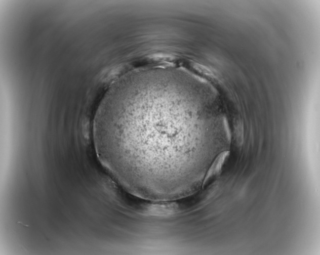 X0000087000571200704301400