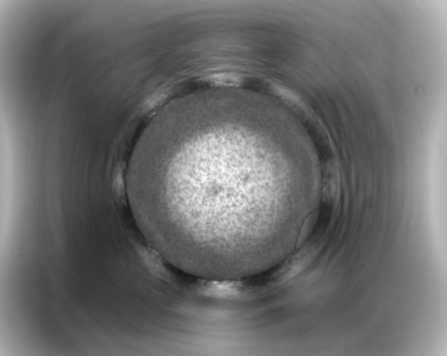 X0000087000573200704301400