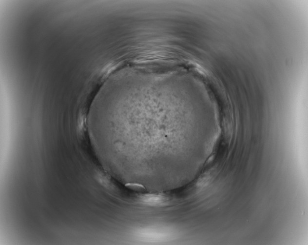 X0000087000574200704301400