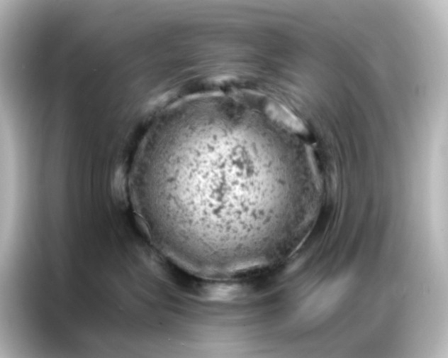 X0000087000575200704301400