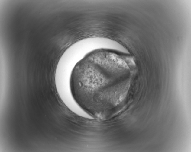 X0000087000576200704301400