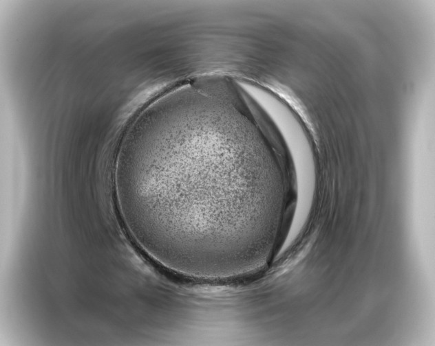 X0000087000577200704301359