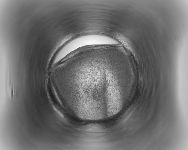 X0000087000578200704301359