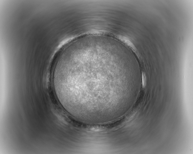 X0000087000579200704301359