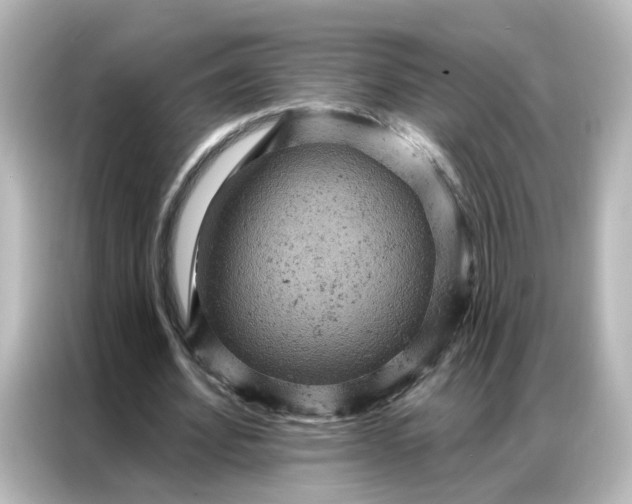 X0000087000580200704301359