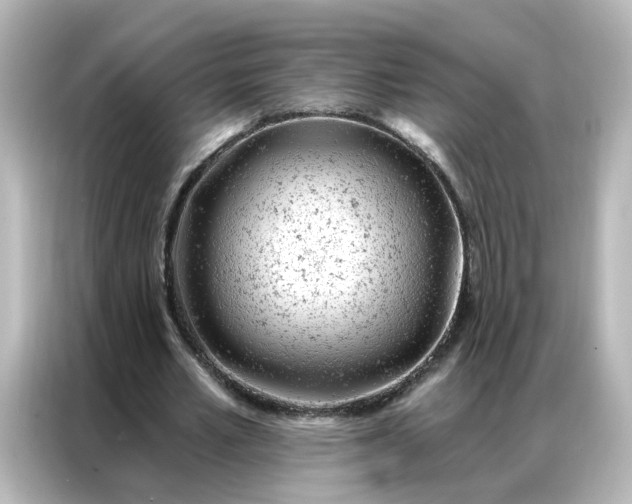 X0000087000581200704301359
