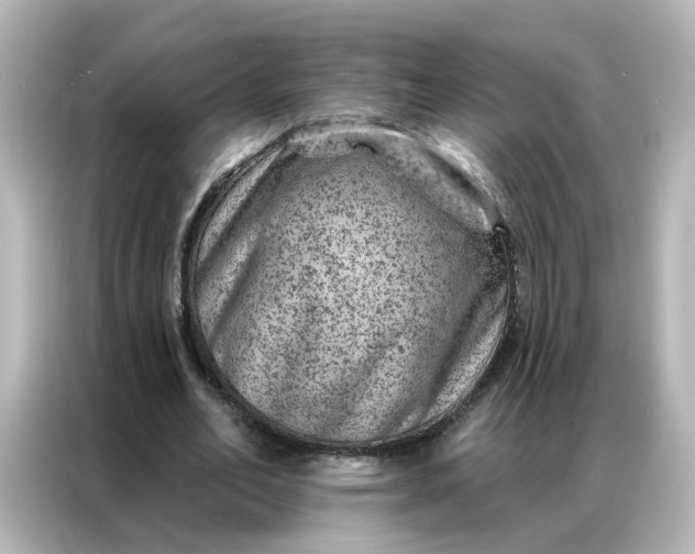 X0000087000582200704301359