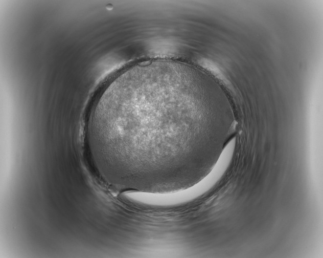 X0000087000583200704301359