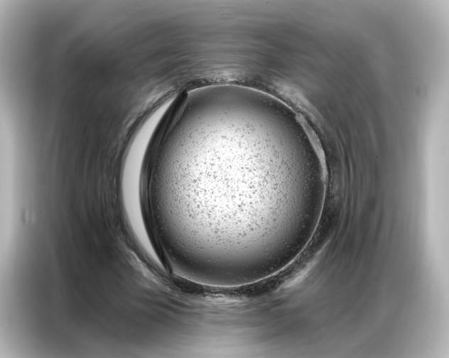 X0000087000585200704301359