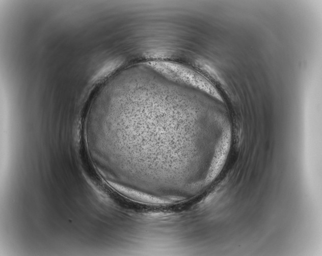 X0000087000586200704301359