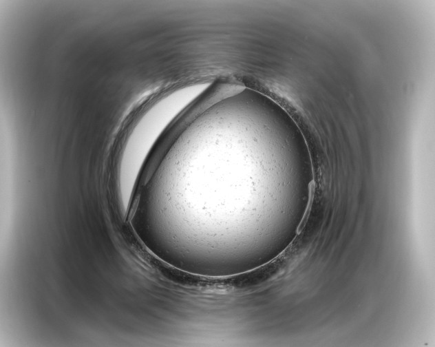 X0000087000587200704301359