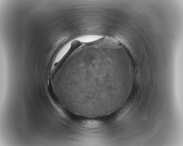 X0000087000590200704301359