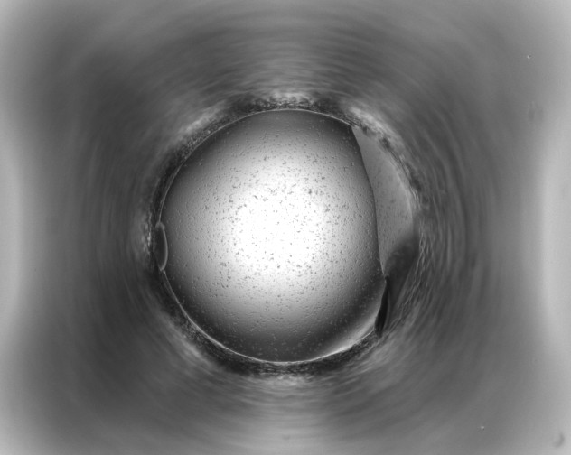 X0000087000593200704301359