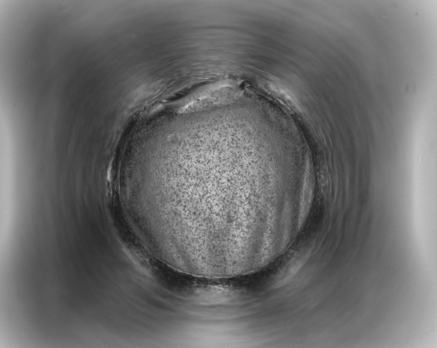 X0000087000594200704301359