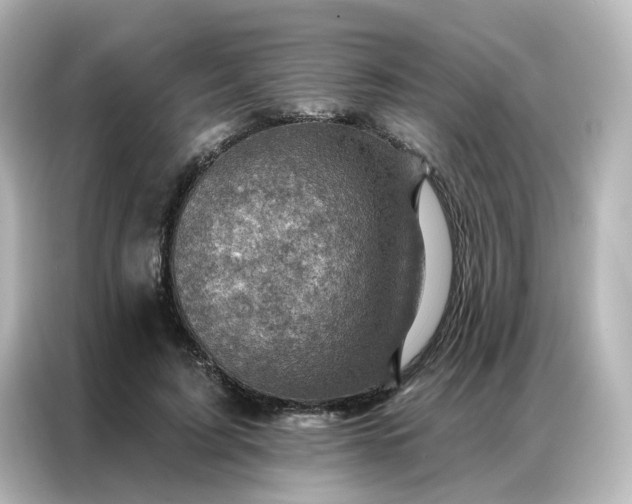 X0000087000595200704301359