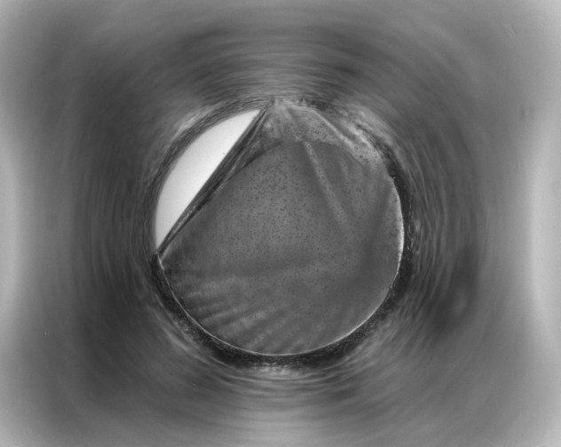 X0000087000596200704301359