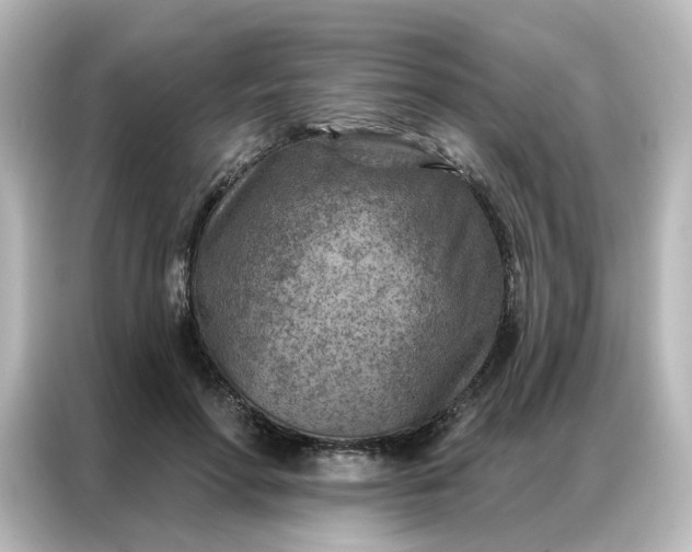 X0000087000598200704301359