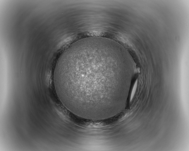 X0000087000599200704301359