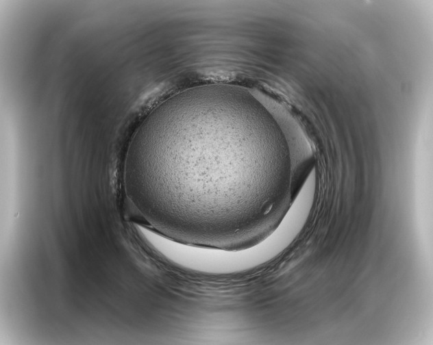 X0000087000600200704301359