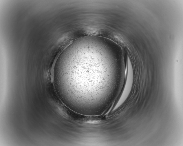 X0000087000601200704301359