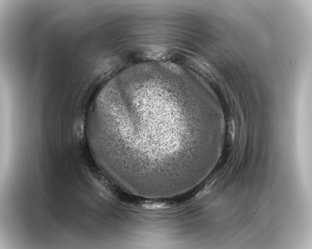 X0000087000602200704301359