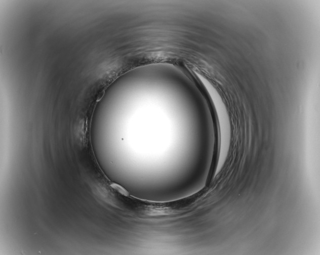 X0000087000605200704301359