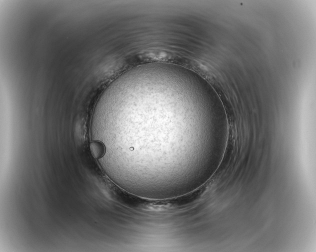 X0000087000606200704301359