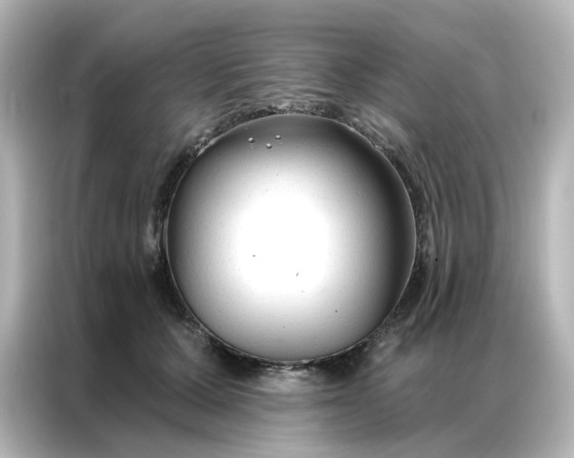 X0000087000607200704301359