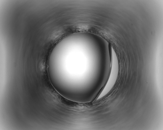 X0000087000608200704301359