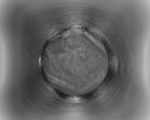 X0000087000610200704301359
