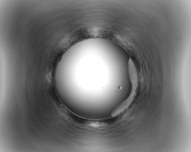 X0000087000611200704301359