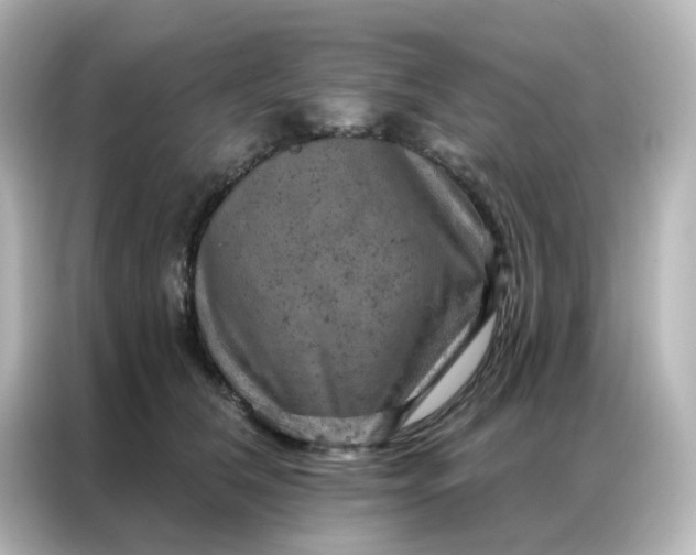 X0000087000612200704301359
