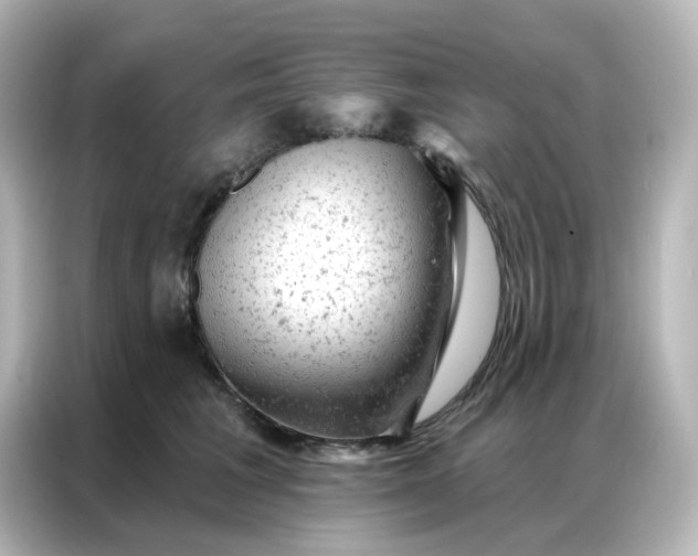 X0000087000613200704301359