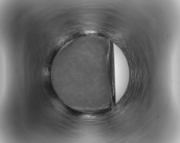 X0000087000614200704301359