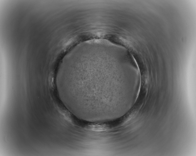 X0000087000615200704301359