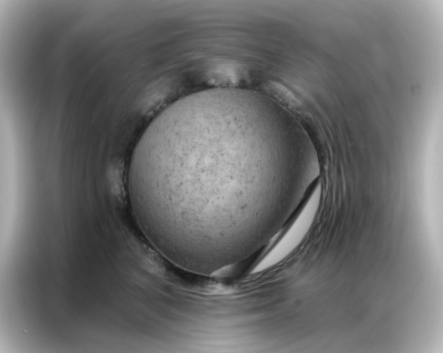 X0000087000616200704301359