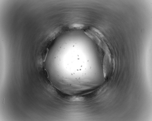 X0000087000617200704301359