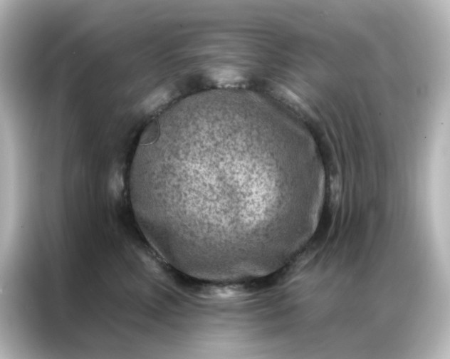 X0000087000618200704301359