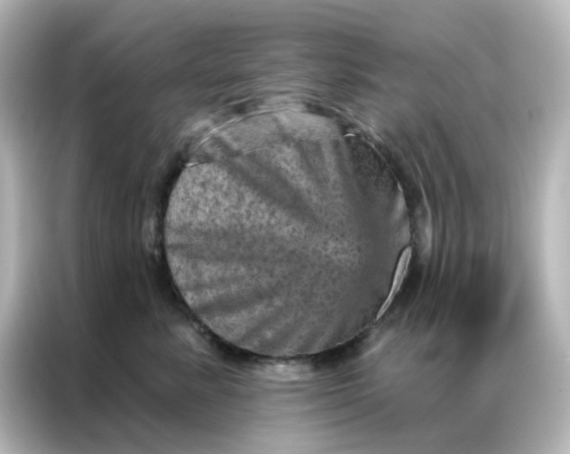 X0000087000619200704301359