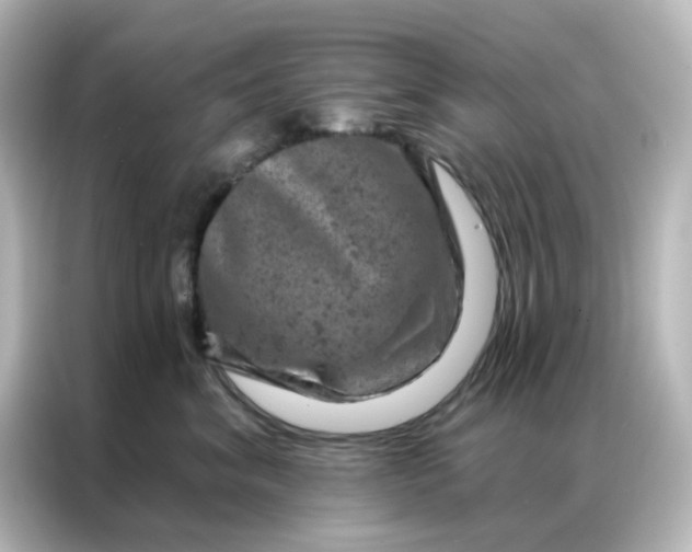 X0000087000620200704301359