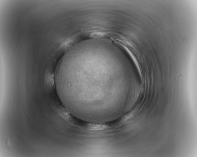 X0000087000621200704301359