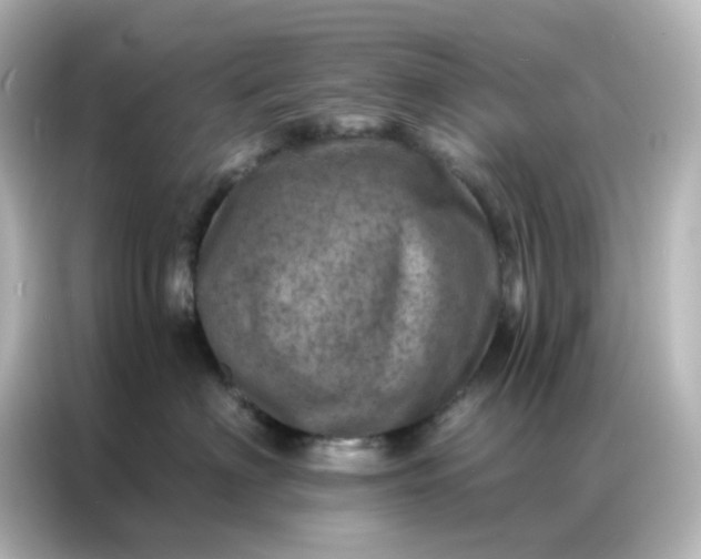X0000087000622200704301359