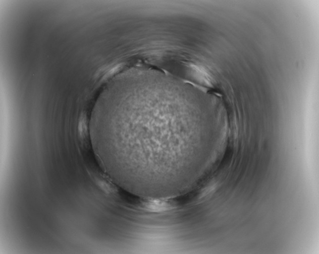 X0000087000623200704301359