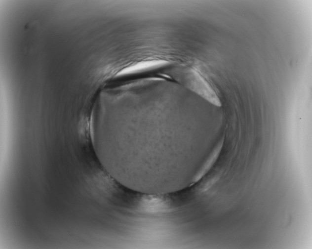 X0000087000624200704301359